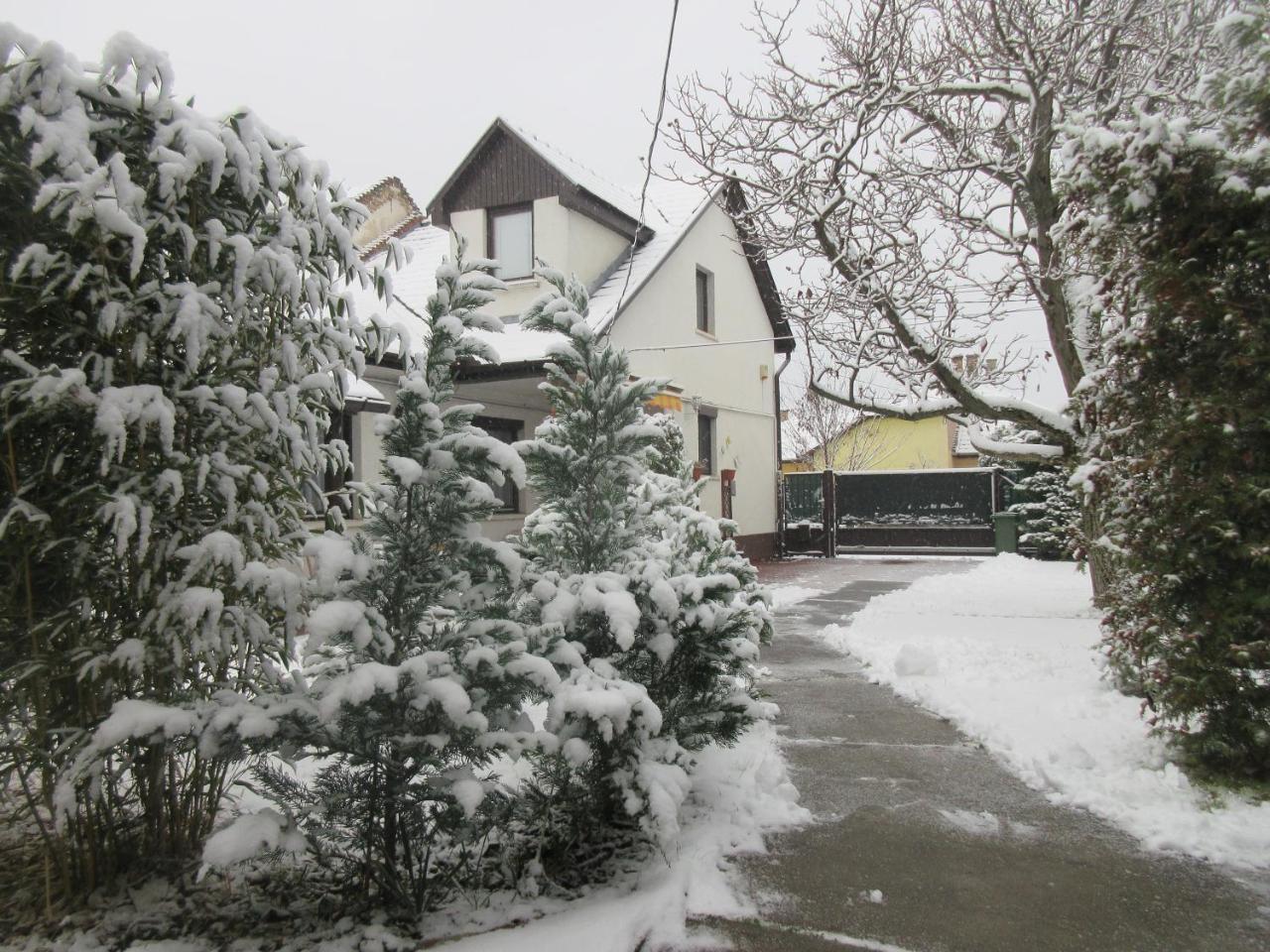 Sissi Residence With Free Parking Lot Будапеща Екстериор снимка